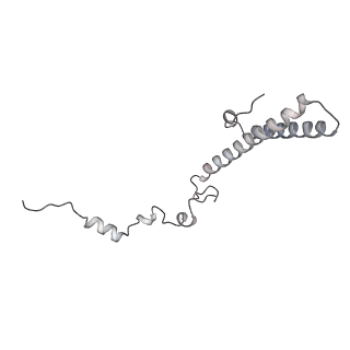 4316_6fti_h_v3-0
Cryo-EM Structure of the Mammalian Oligosaccharyltransferase Bound to Sec61 and the Programmed 80S Ribosome
