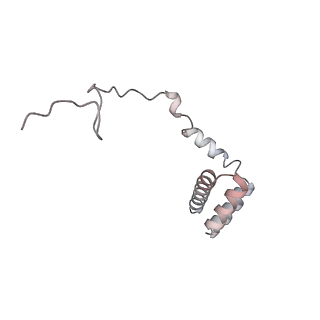 4316_6fti_i_v1-0
Cryo-EM Structure of the Mammalian Oligosaccharyltransferase Bound to Sec61 and the Programmed 80S Ribosome