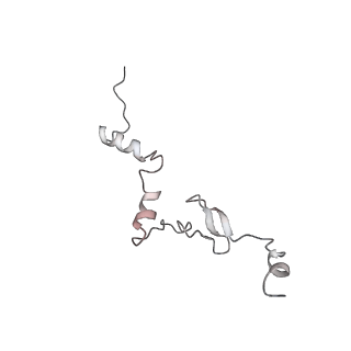 4316_6fti_j_v1-0
Cryo-EM Structure of the Mammalian Oligosaccharyltransferase Bound to Sec61 and the Programmed 80S Ribosome