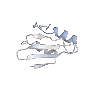4316_6fti_k_v2-4
Cryo-EM Structure of the Mammalian Oligosaccharyltransferase Bound to Sec61 and the Programmed 80S Ribosome