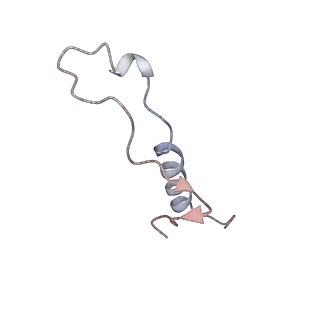 4316_6fti_l_v1-0
Cryo-EM Structure of the Mammalian Oligosaccharyltransferase Bound to Sec61 and the Programmed 80S Ribosome