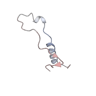 4316_6fti_l_v2-4
Cryo-EM Structure of the Mammalian Oligosaccharyltransferase Bound to Sec61 and the Programmed 80S Ribosome