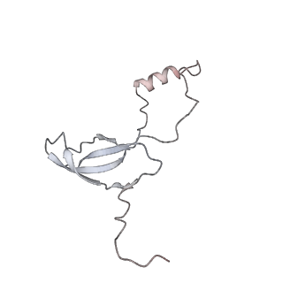 4316_6fti_o_v2-4
Cryo-EM Structure of the Mammalian Oligosaccharyltransferase Bound to Sec61 and the Programmed 80S Ribosome