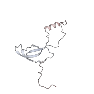 4316_6fti_o_v3-0
Cryo-EM Structure of the Mammalian Oligosaccharyltransferase Bound to Sec61 and the Programmed 80S Ribosome