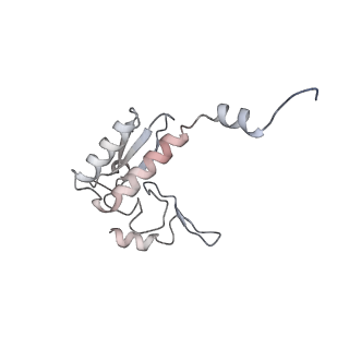 4316_6fti_r_v2-4
Cryo-EM Structure of the Mammalian Oligosaccharyltransferase Bound to Sec61 and the Programmed 80S Ribosome