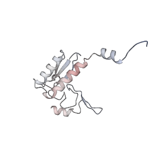4316_6fti_r_v3-0
Cryo-EM Structure of the Mammalian Oligosaccharyltransferase Bound to Sec61 and the Programmed 80S Ribosome