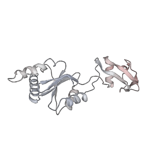 4316_6fti_s_v1-0
Cryo-EM Structure of the Mammalian Oligosaccharyltransferase Bound to Sec61 and the Programmed 80S Ribosome