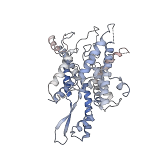 4316_6fti_x_v1-0
Cryo-EM Structure of the Mammalian Oligosaccharyltransferase Bound to Sec61 and the Programmed 80S Ribosome