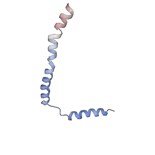 4316_6fti_y_v1-0
Cryo-EM Structure of the Mammalian Oligosaccharyltransferase Bound to Sec61 and the Programmed 80S Ribosome