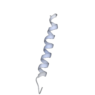 4316_6fti_z_v1-0
Cryo-EM Structure of the Mammalian Oligosaccharyltransferase Bound to Sec61 and the Programmed 80S Ribosome