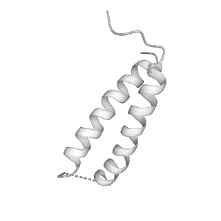 4317_6ftj_2_v1-0
Cryo-EM Structure of the Mammalian Oligosaccharyltransferase Bound to Sec61 and the Non-programmed 80S Ribosome