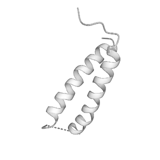 4317_6ftj_2_v2-4
Cryo-EM Structure of the Mammalian Oligosaccharyltransferase Bound to Sec61 and the Non-programmed 80S Ribosome