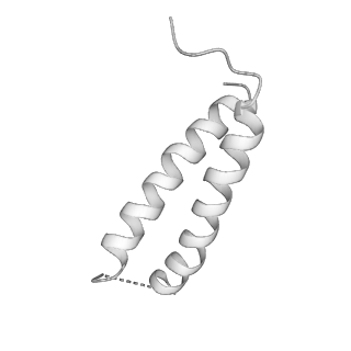 4317_6ftj_2_v3-0
Cryo-EM Structure of the Mammalian Oligosaccharyltransferase Bound to Sec61 and the Non-programmed 80S Ribosome