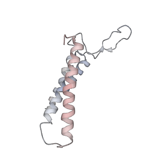 4317_6ftj_3_v1-0
Cryo-EM Structure of the Mammalian Oligosaccharyltransferase Bound to Sec61 and the Non-programmed 80S Ribosome
