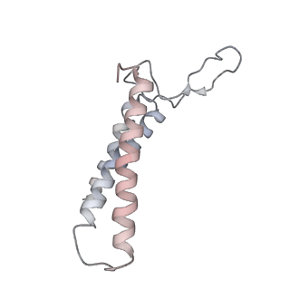 4317_6ftj_3_v2-4
Cryo-EM Structure of the Mammalian Oligosaccharyltransferase Bound to Sec61 and the Non-programmed 80S Ribosome