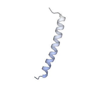 4317_6ftj_4_v2-4
Cryo-EM Structure of the Mammalian Oligosaccharyltransferase Bound to Sec61 and the Non-programmed 80S Ribosome