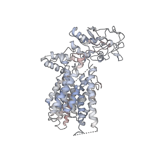 4317_6ftj_5_v1-0
Cryo-EM Structure of the Mammalian Oligosaccharyltransferase Bound to Sec61 and the Non-programmed 80S Ribosome