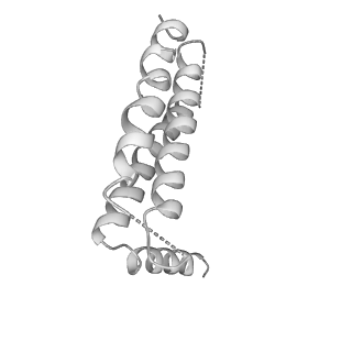 4317_6ftj_6_v2-4
Cryo-EM Structure of the Mammalian Oligosaccharyltransferase Bound to Sec61 and the Non-programmed 80S Ribosome