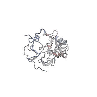 4317_6ftj_A_v1-0
Cryo-EM Structure of the Mammalian Oligosaccharyltransferase Bound to Sec61 and the Non-programmed 80S Ribosome
