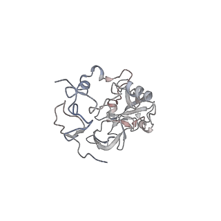 4317_6ftj_A_v2-4
Cryo-EM Structure of the Mammalian Oligosaccharyltransferase Bound to Sec61 and the Non-programmed 80S Ribosome