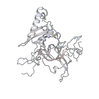 4317_6ftj_B_v1-0
Cryo-EM Structure of the Mammalian Oligosaccharyltransferase Bound to Sec61 and the Non-programmed 80S Ribosome