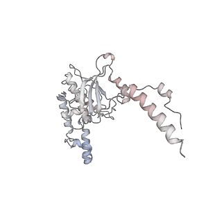 4317_6ftj_D_v1-0
Cryo-EM Structure of the Mammalian Oligosaccharyltransferase Bound to Sec61 and the Non-programmed 80S Ribosome