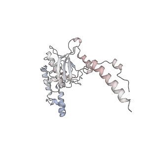 4317_6ftj_D_v2-4
Cryo-EM Structure of the Mammalian Oligosaccharyltransferase Bound to Sec61 and the Non-programmed 80S Ribosome