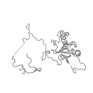 4317_6ftj_E_v1-0
Cryo-EM Structure of the Mammalian Oligosaccharyltransferase Bound to Sec61 and the Non-programmed 80S Ribosome