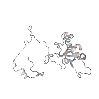4317_6ftj_E_v2-4
Cryo-EM Structure of the Mammalian Oligosaccharyltransferase Bound to Sec61 and the Non-programmed 80S Ribosome