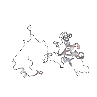 4317_6ftj_E_v3-0
Cryo-EM Structure of the Mammalian Oligosaccharyltransferase Bound to Sec61 and the Non-programmed 80S Ribosome