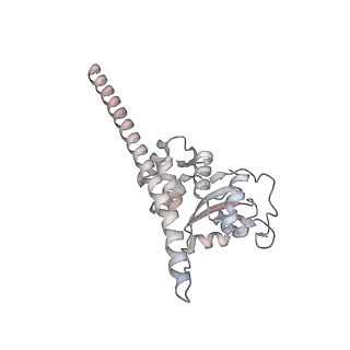 4317_6ftj_F_v1-0
Cryo-EM Structure of the Mammalian Oligosaccharyltransferase Bound to Sec61 and the Non-programmed 80S Ribosome
