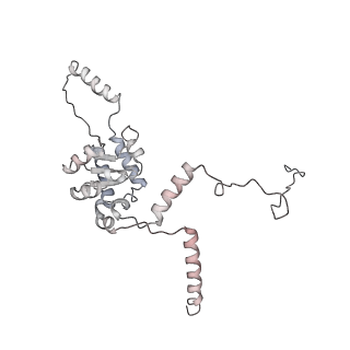 4317_6ftj_G_v1-0
Cryo-EM Structure of the Mammalian Oligosaccharyltransferase Bound to Sec61 and the Non-programmed 80S Ribosome