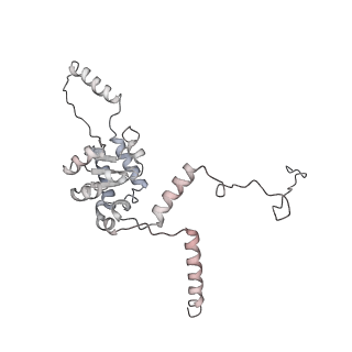 4317_6ftj_G_v2-4
Cryo-EM Structure of the Mammalian Oligosaccharyltransferase Bound to Sec61 and the Non-programmed 80S Ribosome