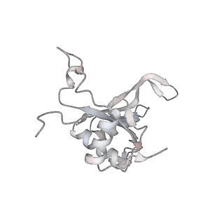 4317_6ftj_J_v1-0
Cryo-EM Structure of the Mammalian Oligosaccharyltransferase Bound to Sec61 and the Non-programmed 80S Ribosome