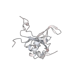 4317_6ftj_J_v3-0
Cryo-EM Structure of the Mammalian Oligosaccharyltransferase Bound to Sec61 and the Non-programmed 80S Ribosome