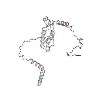 4317_6ftj_L_v1-0
Cryo-EM Structure of the Mammalian Oligosaccharyltransferase Bound to Sec61 and the Non-programmed 80S Ribosome