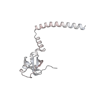 4317_6ftj_M_v1-0
Cryo-EM Structure of the Mammalian Oligosaccharyltransferase Bound to Sec61 and the Non-programmed 80S Ribosome