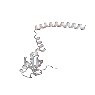 4317_6ftj_M_v3-0
Cryo-EM Structure of the Mammalian Oligosaccharyltransferase Bound to Sec61 and the Non-programmed 80S Ribosome