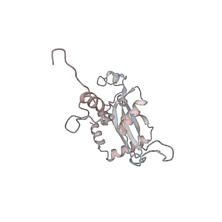 4317_6ftj_N_v1-0
Cryo-EM Structure of the Mammalian Oligosaccharyltransferase Bound to Sec61 and the Non-programmed 80S Ribosome