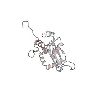 4317_6ftj_N_v2-4
Cryo-EM Structure of the Mammalian Oligosaccharyltransferase Bound to Sec61 and the Non-programmed 80S Ribosome
