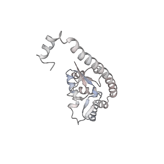 4317_6ftj_O_v1-0
Cryo-EM Structure of the Mammalian Oligosaccharyltransferase Bound to Sec61 and the Non-programmed 80S Ribosome