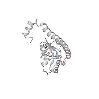 4317_6ftj_O_v3-0
Cryo-EM Structure of the Mammalian Oligosaccharyltransferase Bound to Sec61 and the Non-programmed 80S Ribosome