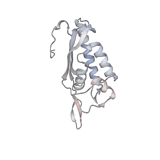 4317_6ftj_P_v1-0
Cryo-EM Structure of the Mammalian Oligosaccharyltransferase Bound to Sec61 and the Non-programmed 80S Ribosome