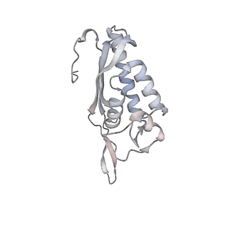 4317_6ftj_P_v2-4
Cryo-EM Structure of the Mammalian Oligosaccharyltransferase Bound to Sec61 and the Non-programmed 80S Ribosome