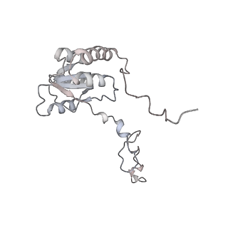 4317_6ftj_Q_v1-0
Cryo-EM Structure of the Mammalian Oligosaccharyltransferase Bound to Sec61 and the Non-programmed 80S Ribosome