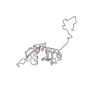 4317_6ftj_S_v1-0
Cryo-EM Structure of the Mammalian Oligosaccharyltransferase Bound to Sec61 and the Non-programmed 80S Ribosome