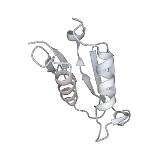 4317_6ftj_U_v1-0
Cryo-EM Structure of the Mammalian Oligosaccharyltransferase Bound to Sec61 and the Non-programmed 80S Ribosome
