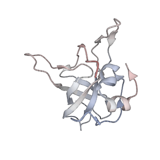 4317_6ftj_V_v1-0
Cryo-EM Structure of the Mammalian Oligosaccharyltransferase Bound to Sec61 and the Non-programmed 80S Ribosome