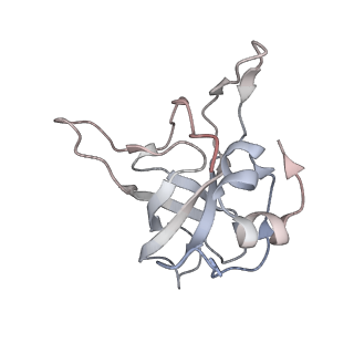4317_6ftj_V_v2-4
Cryo-EM Structure of the Mammalian Oligosaccharyltransferase Bound to Sec61 and the Non-programmed 80S Ribosome