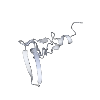 4317_6ftj_W_v1-0
Cryo-EM Structure of the Mammalian Oligosaccharyltransferase Bound to Sec61 and the Non-programmed 80S Ribosome